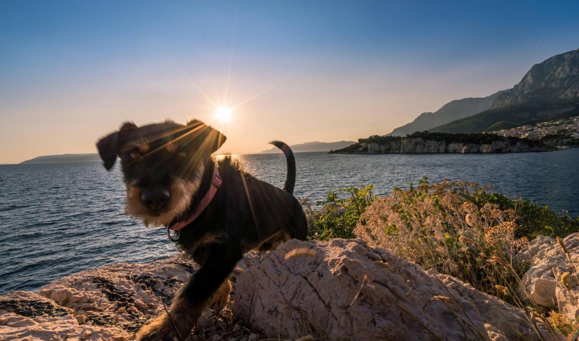 Studio Apartmani Ivanda Makarska Esterno foto