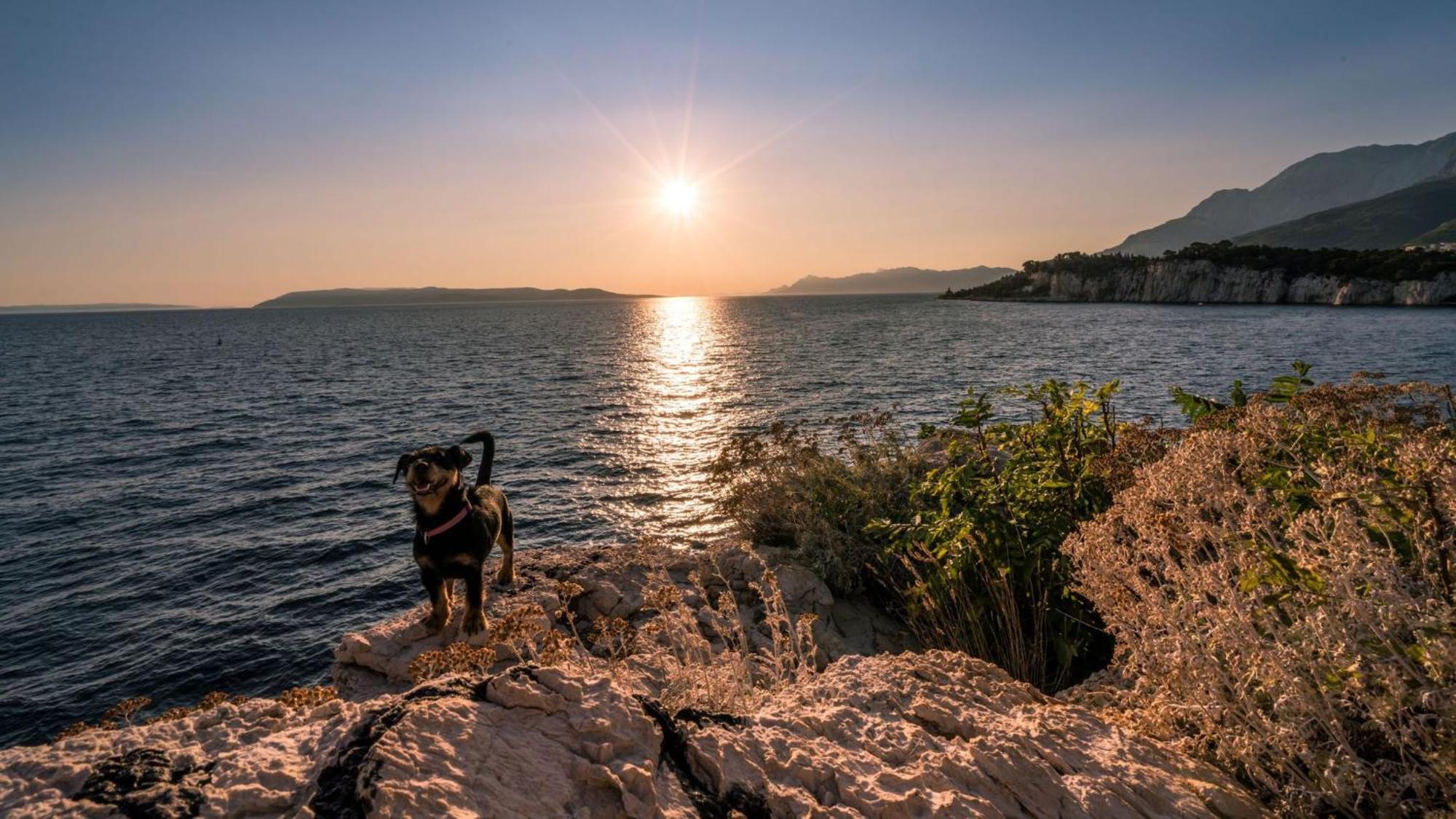 Studio Apartmani Ivanda Makarska Esterno foto